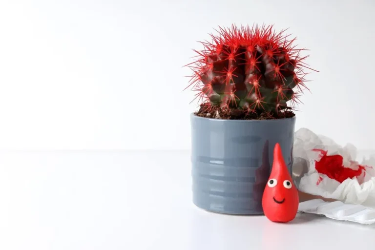 इंदौर में पाइल्स फिशर फिस्टुला का समाधान सिर्फ 30 दिन की प्रोसीजर से, piles dr indroe